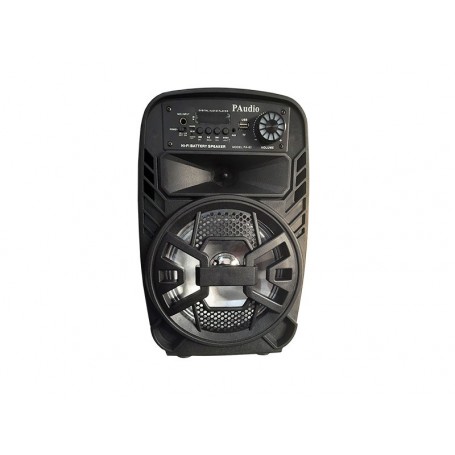 Incinta activa 8inch ABS USB/SD/FM/BT/ACCU PAudio