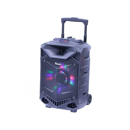Incinta activa 12inch ABS USB/SD/FM/BT/ACCU Thunder