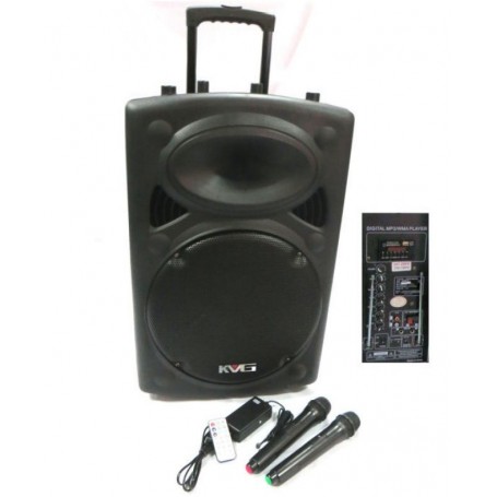 Incinta acustica 15inch ABS MP3+2microfoane
