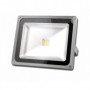 Proiector leduri 10W