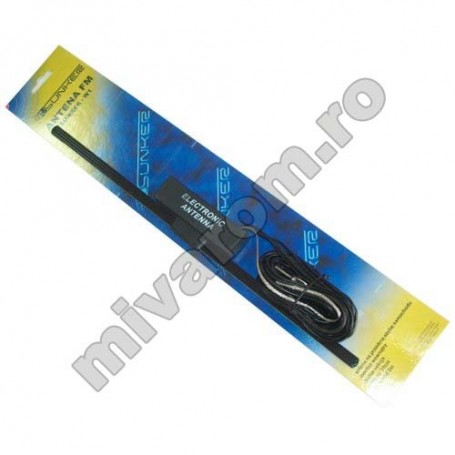 Antena auto cu amplif W1