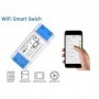 Releu wireless 10A (wifi smart switch)