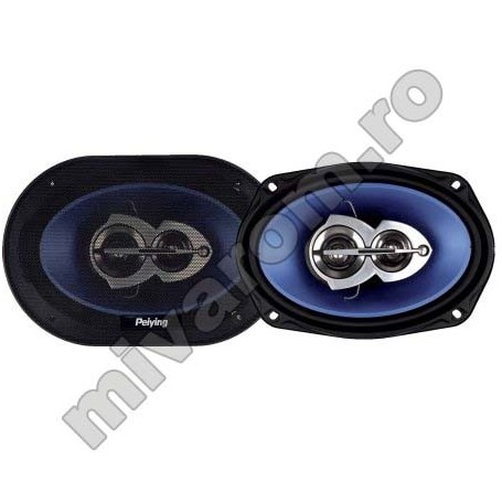 Set 2 dif auto 6x9 py694