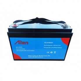 Acumulator Litiu LiFePo4 24V 50AH Acumulator Litiu LiFePo4 24V 50AH