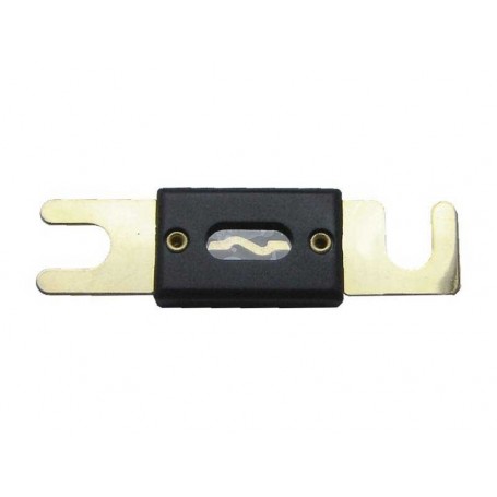Siguranta auto 100A