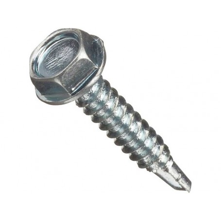 Holsurub autoforant cap hexagonal (4.8MMx38MM)