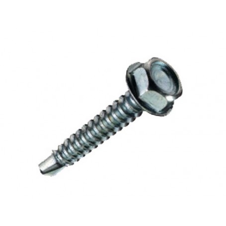Holsurub autoforant cap hexagonal (6.3MMx50MM)