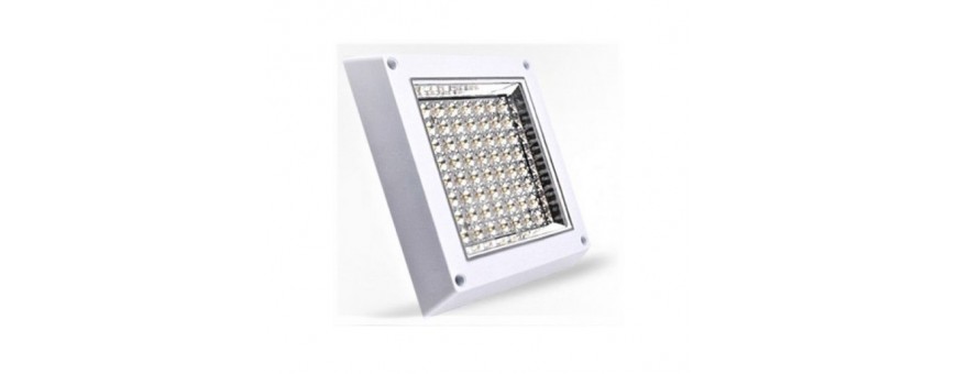 PLAFONIERE LED PATRATE